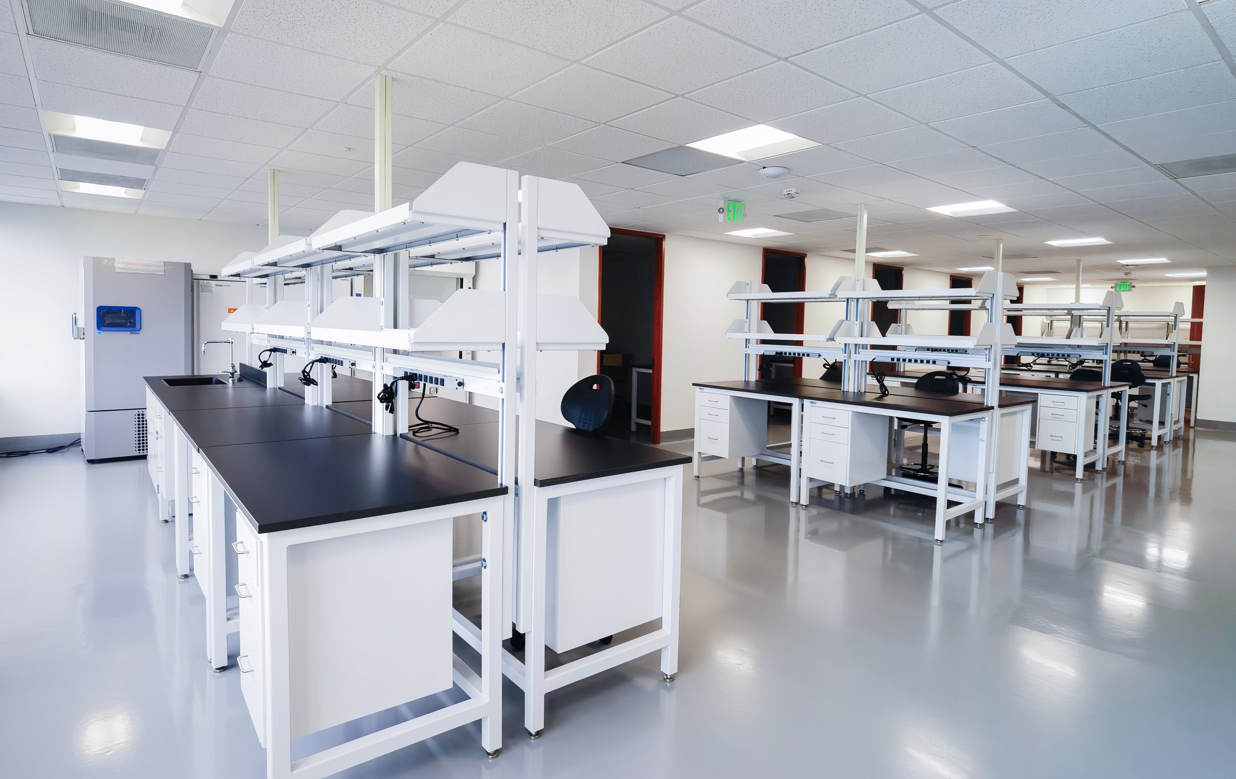 5-Lab(1).jpg